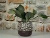 Hexagon Handformed Planter