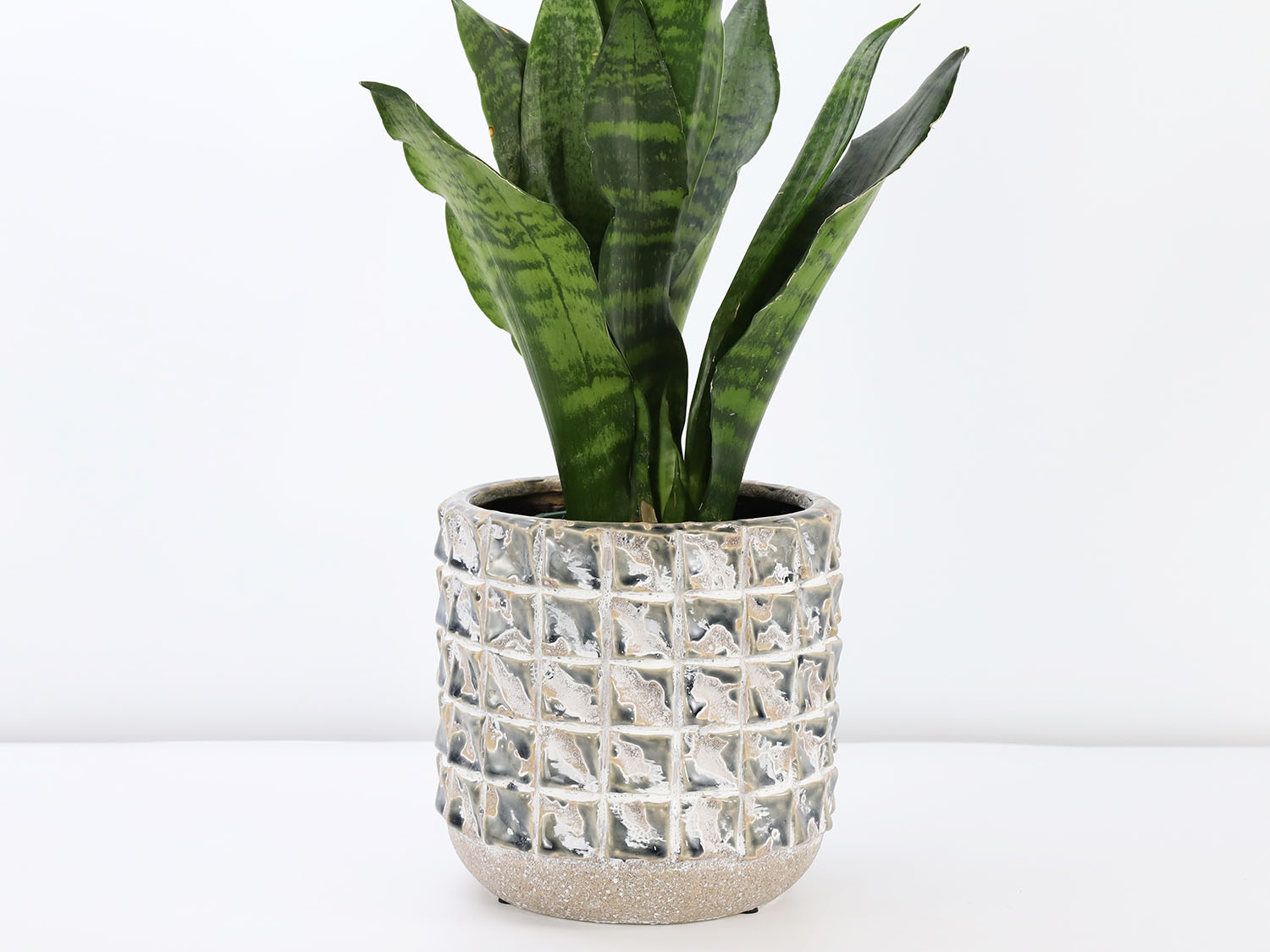 Salinas Planters