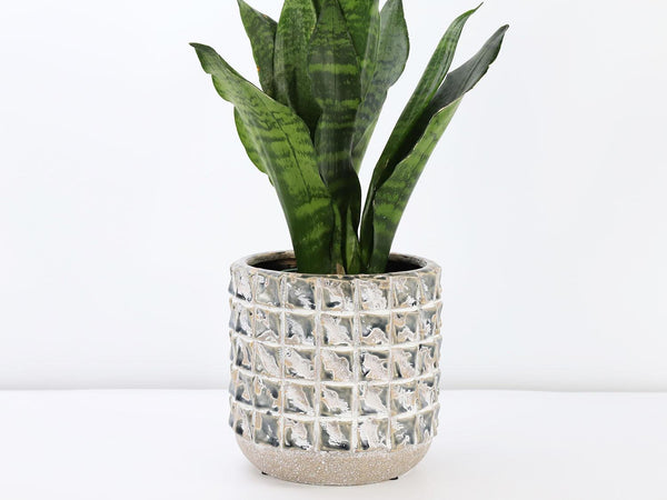 Salinas Planters