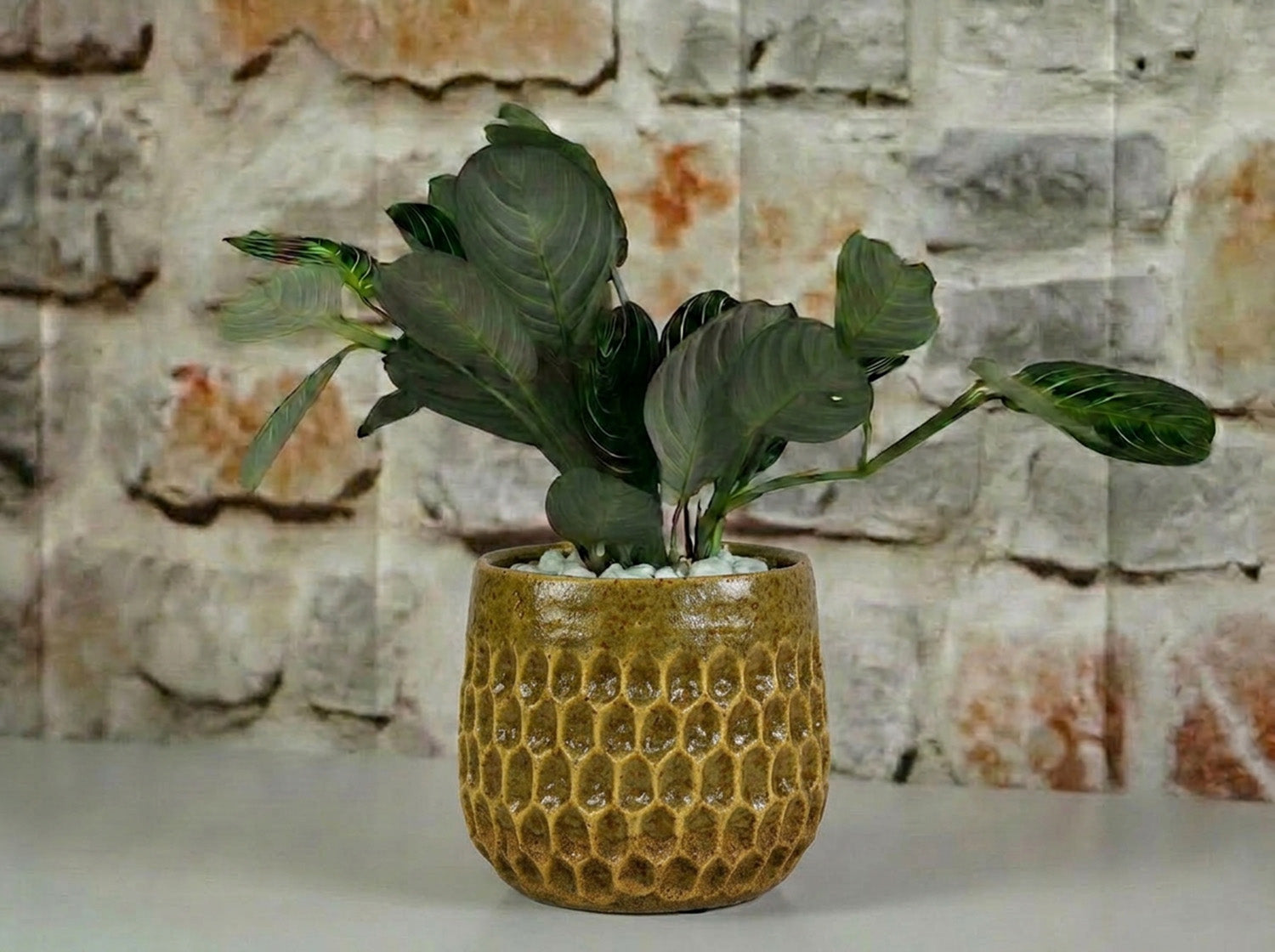 Cambria Planters