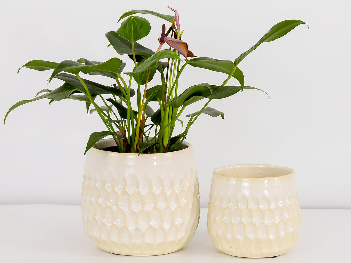 Cambria Planters