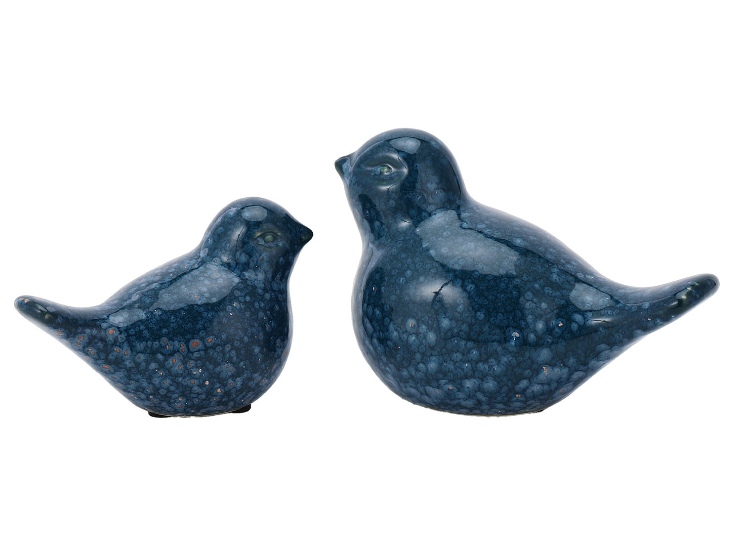Swallow