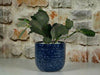 Pebble Beach Planter