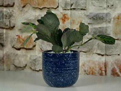 Pebble Beach Planter