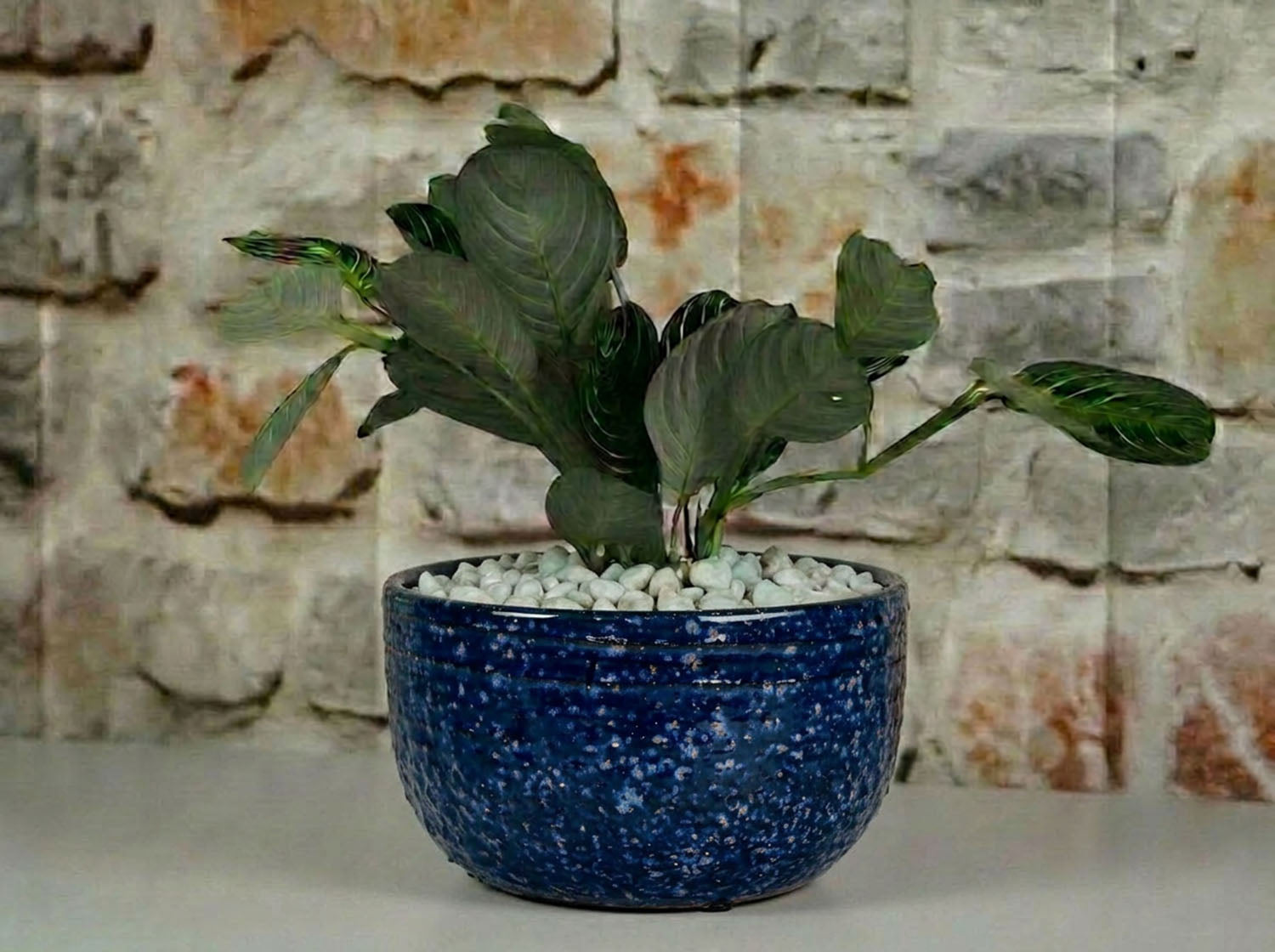 Pebble Beach Bowls