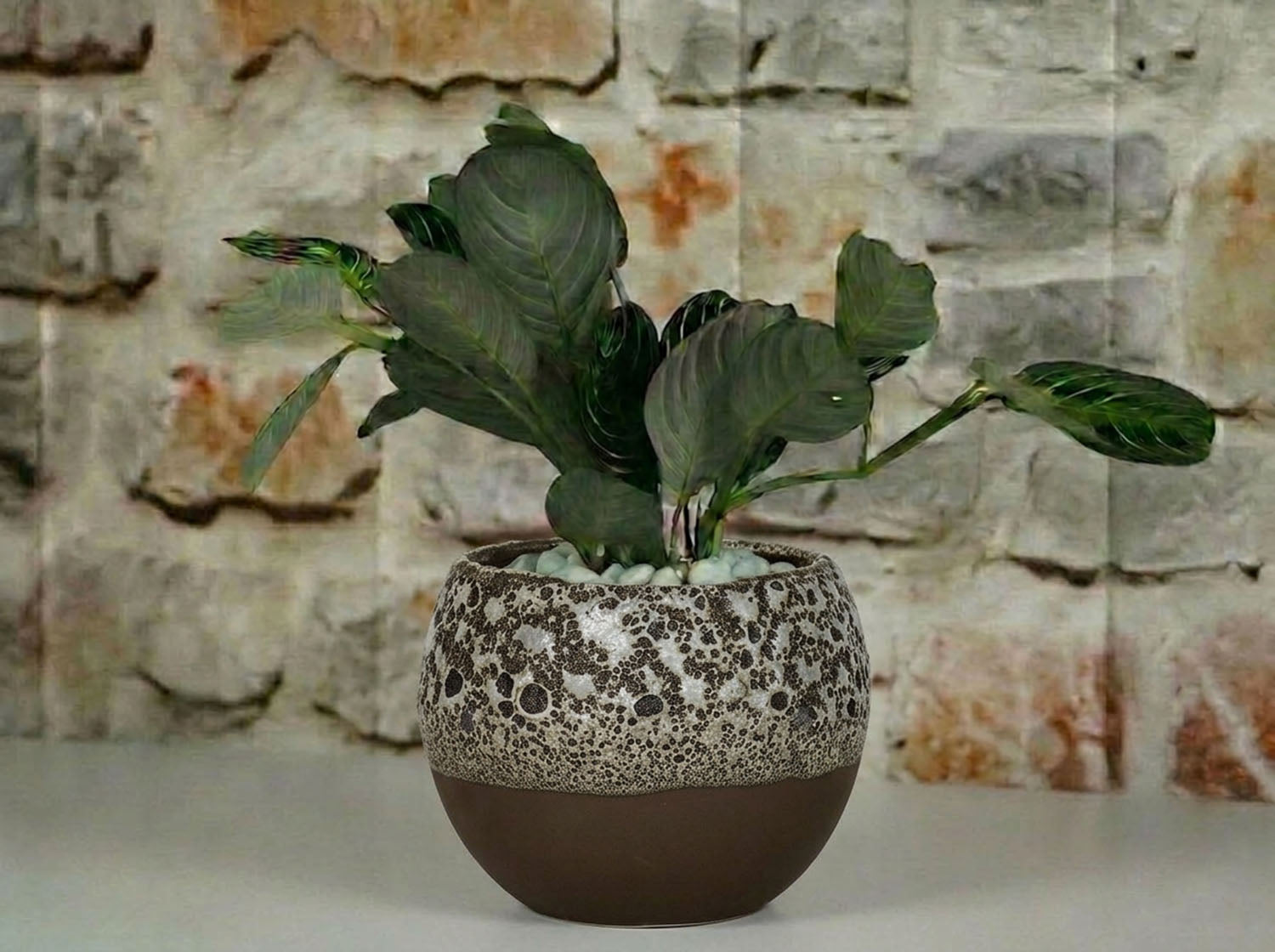 Pendant Planter