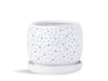 Rain Drop Orchid Planter-Pastel By Plantatorem - 6.0" D x 5.5" H (Single Pot) / Bright White