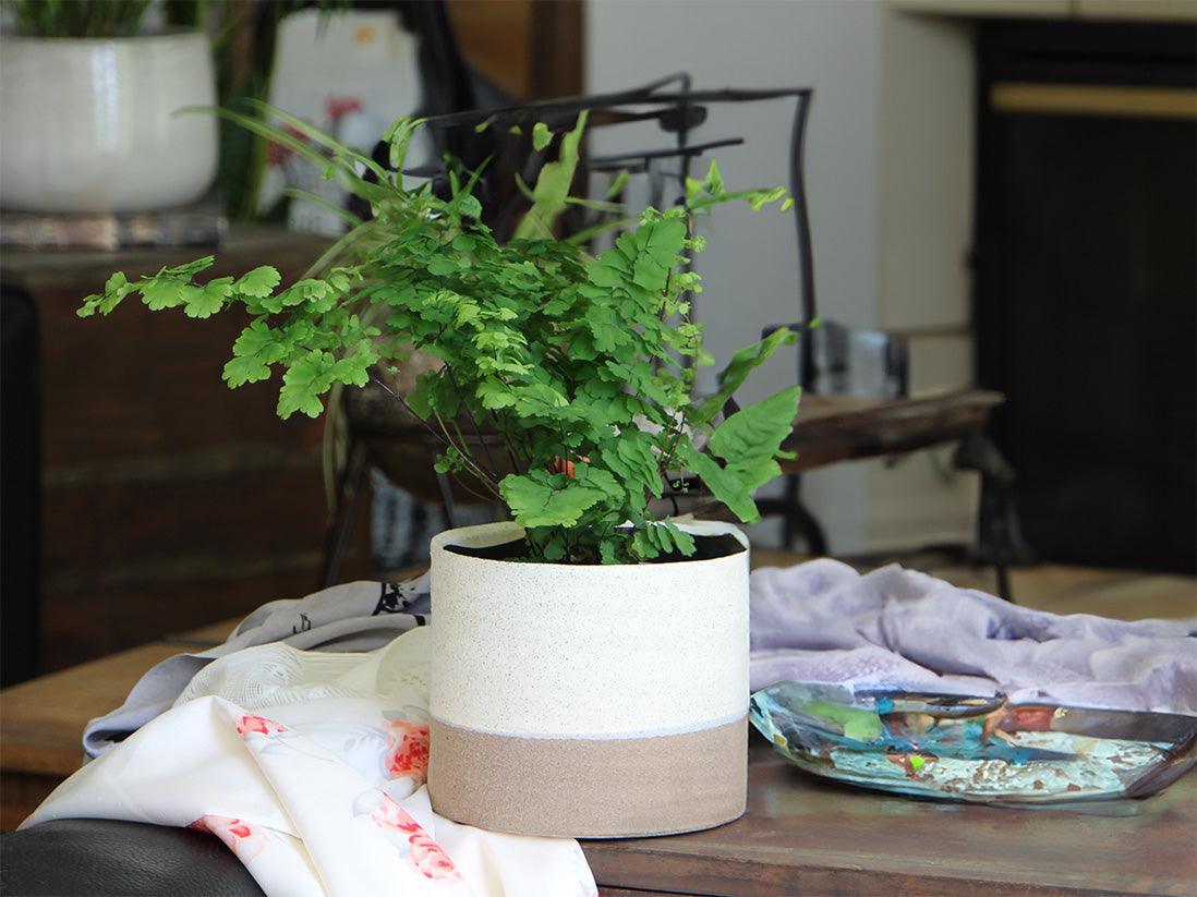 Jewel Mug Planter By Plantatorem