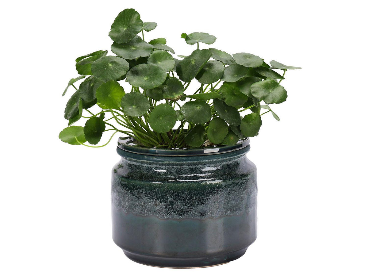 Jewel Self-Watering Planter By Plantatorem