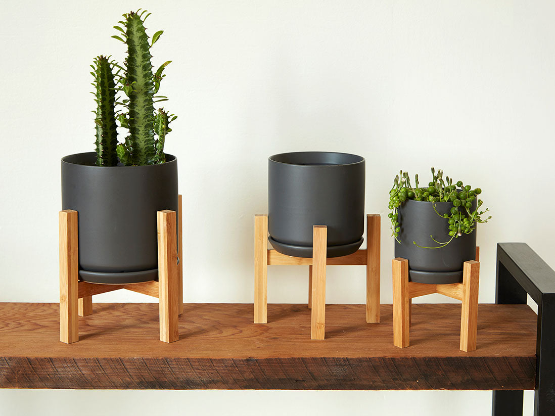 Cylinder with Attached Saucer By Plantatorem