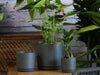 Cylinder with Attached Saucer By Plantatorem - Matte Cool Grey / 7.0" D x 6.5" H -Single Pot