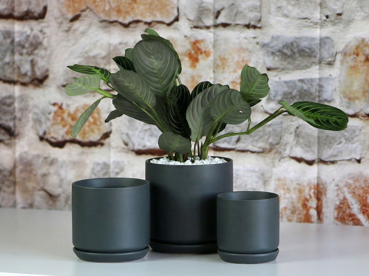 Cylinder with Attached Saucer By Plantatorem