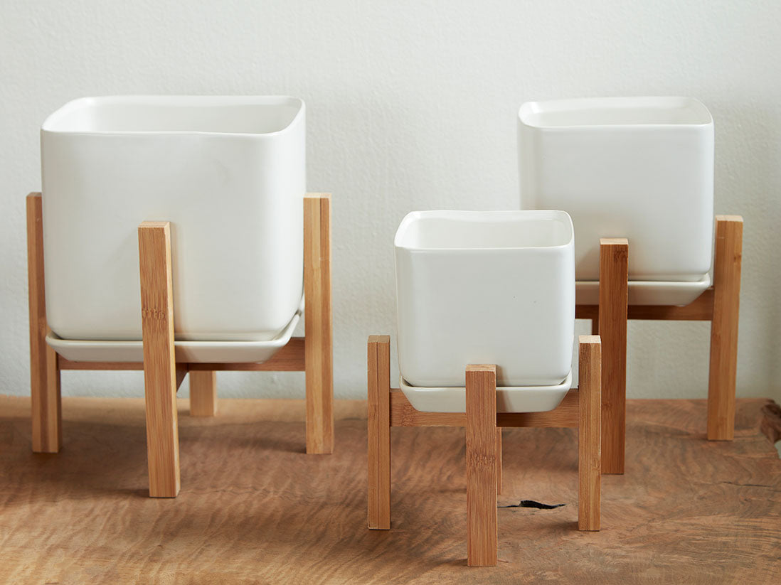 Cube with Attached Saucer By Plantatorem
