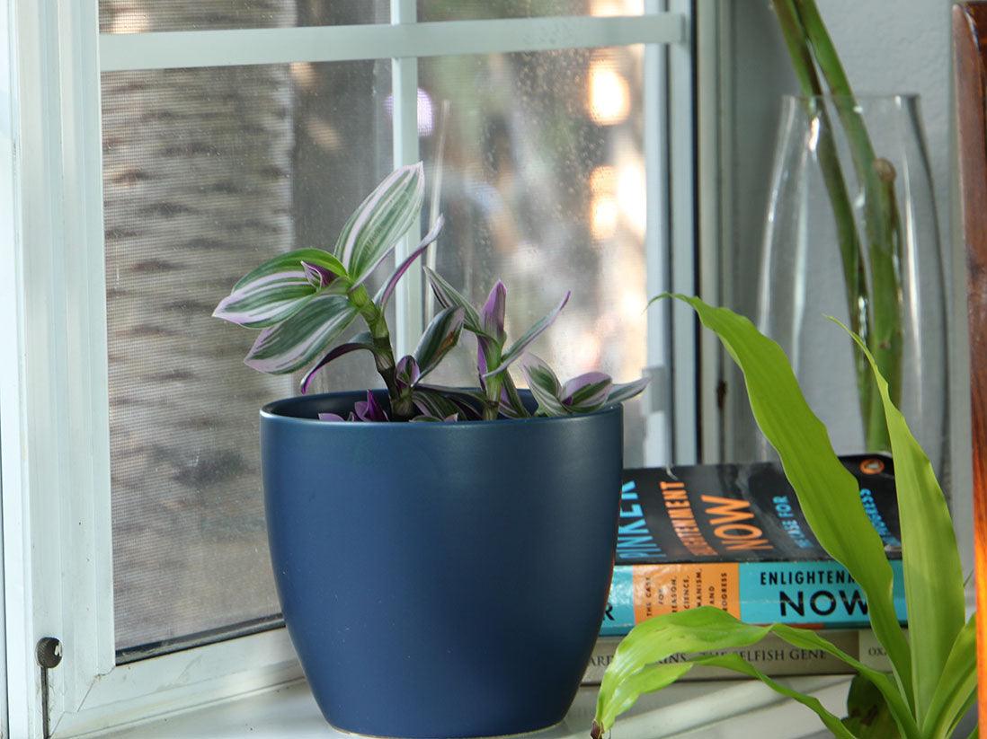 Peace Lily Cache Pot By Plantatorem