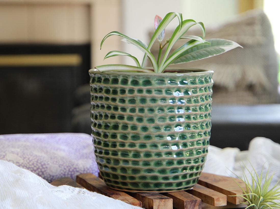 Honeycomb Planter By Plantatorem