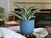 Honeycomb Planter By Plantatorem - Denim / 5.5" D x 5.0" H - Single Pot