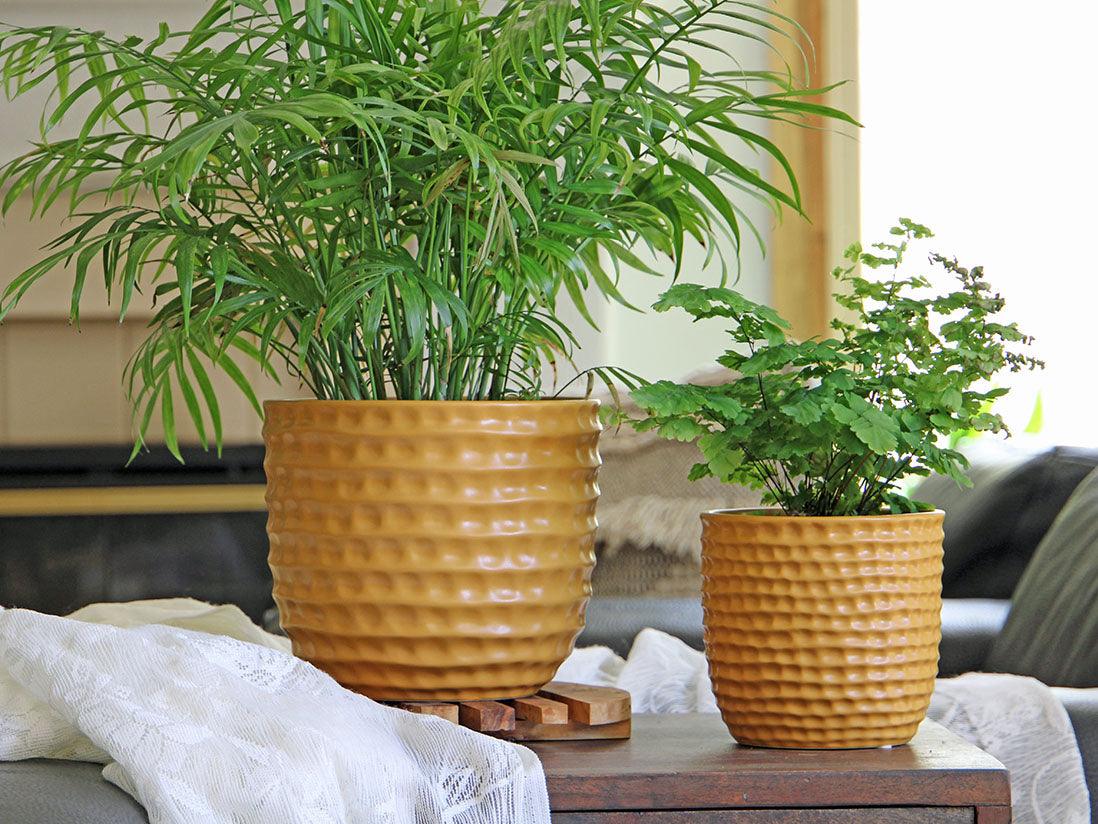 Honeycomb Planter By Plantatorem