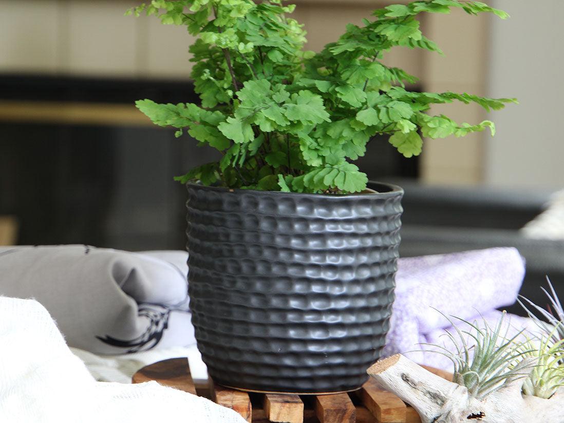 Honeycomb Planter By Plantatorem