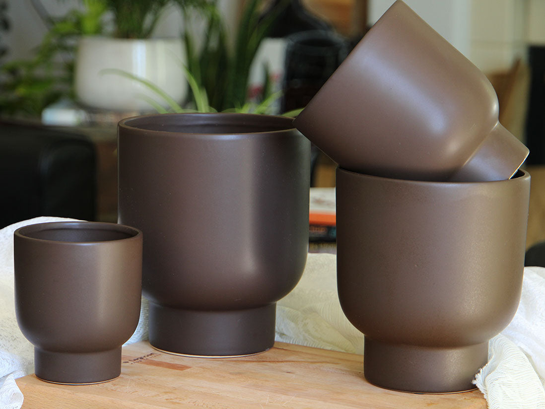 Monstera Cache Pot By Plantatorem