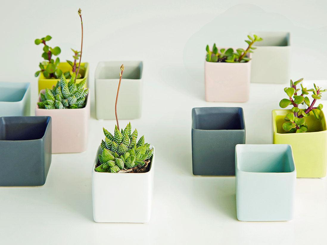 Cube Cache Pot- 2.5