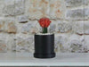 Cylinder Pot with Detached Saucers By Plantatorem