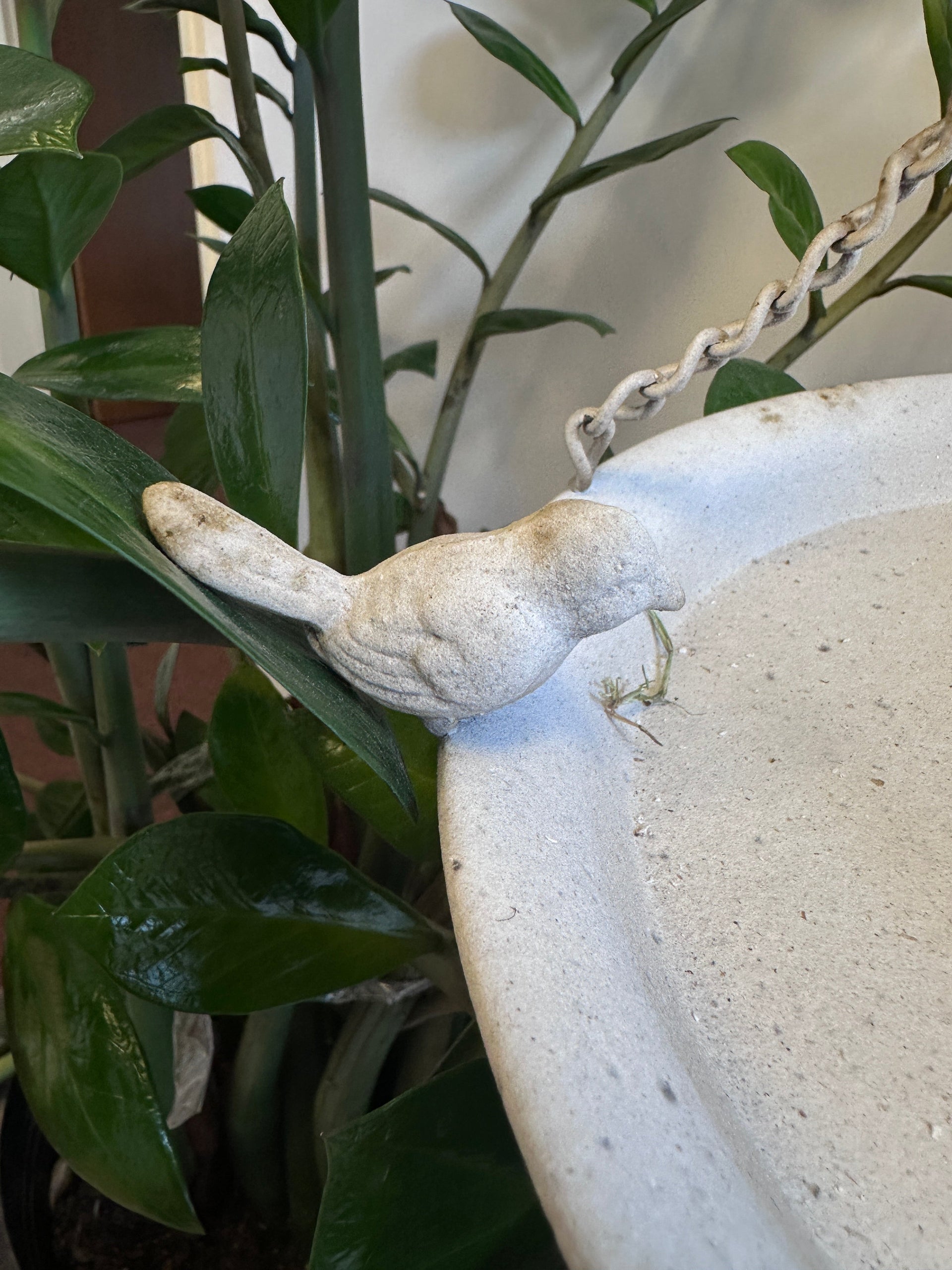 Distressed White Hanging Bird Feeder