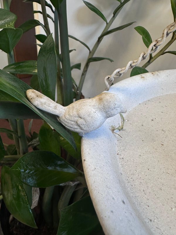 Distressed White Hanging Bird Feeder