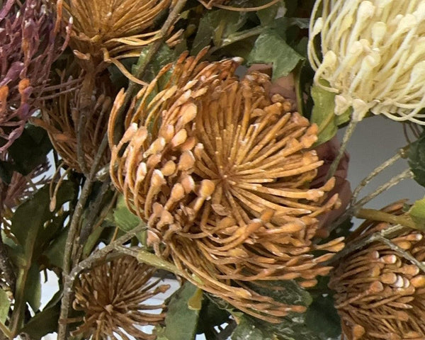 Close-up of dried flowers with brown and green hues on a gray background