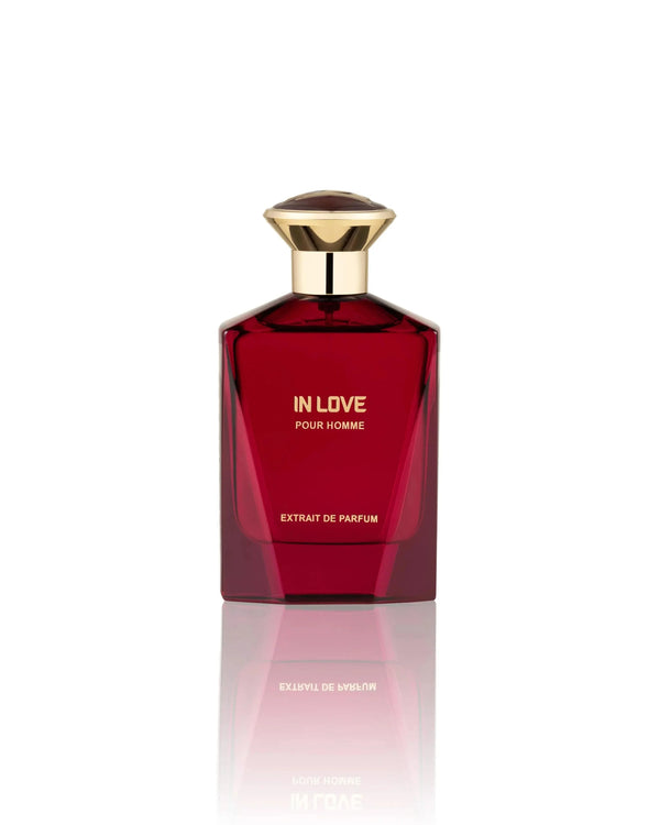 In Love Pour Homme  By Fragrance Story For Men 3.4 oz EDP Spray