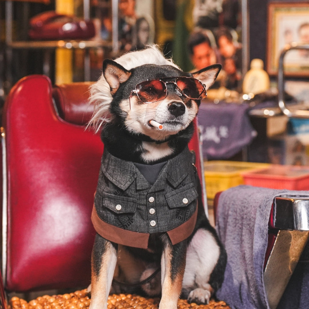 Cyclone (龍捲風) | Pet Bib Momoji Canada