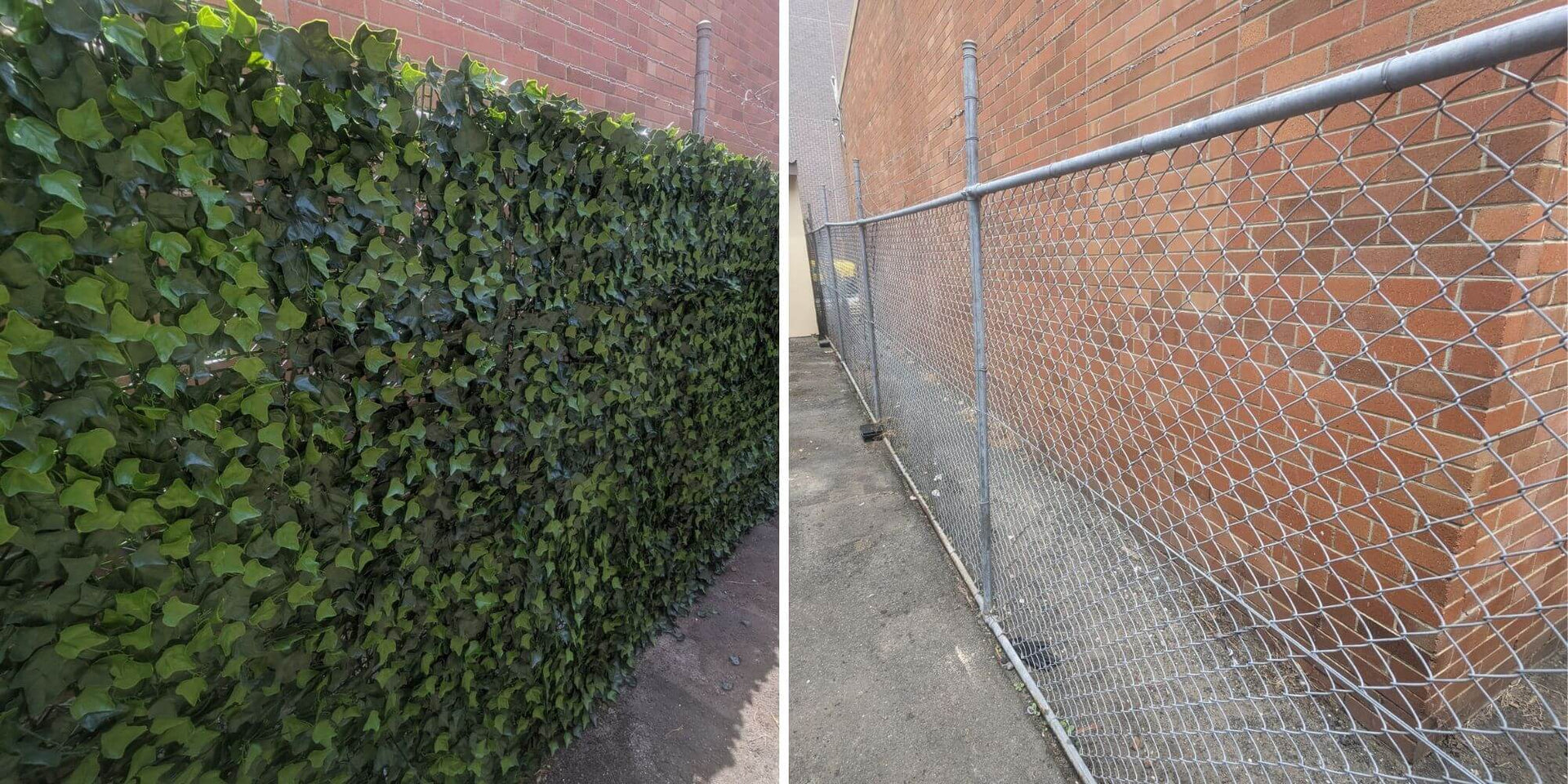 Boston Ivy Artificial Green Wall 33 SQ FT – UV Resistant – Commercial Grade (Clearance Price)