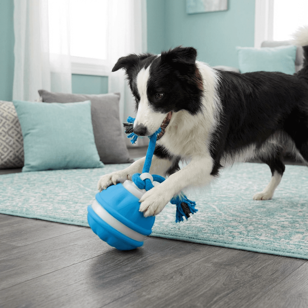 Interactive Dog Toy Motion Sensor Ball with Tug Rope Active Play Toy