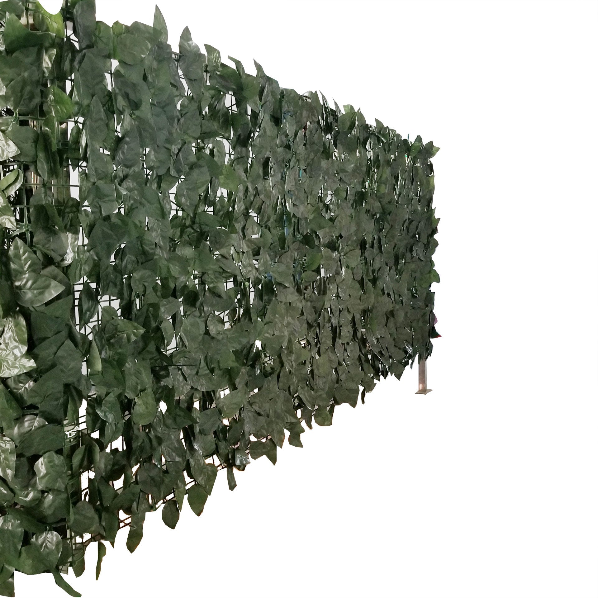 Ivy Artificial Privacy Fence Roll 33 SQ FT