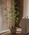 Artificial Bamboo Stem Faux Screen Plant Set of 10 - Small