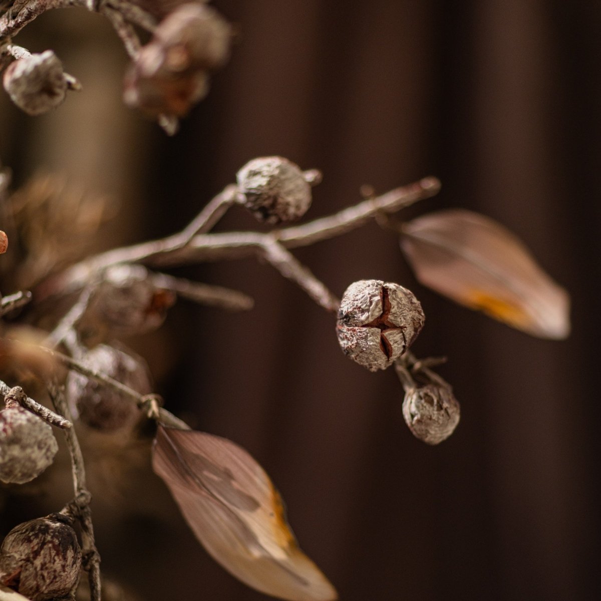 Brown Faux Pod Branch with Leaves 43