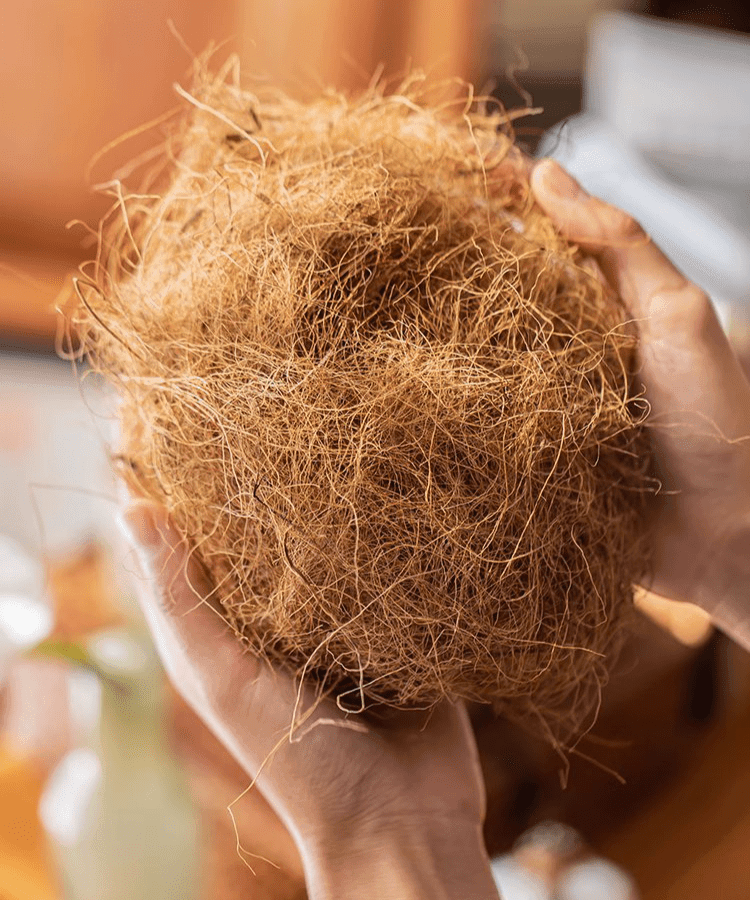 Coconut Fiber Pot Soil Surface Decoration Padding Material Set of 3