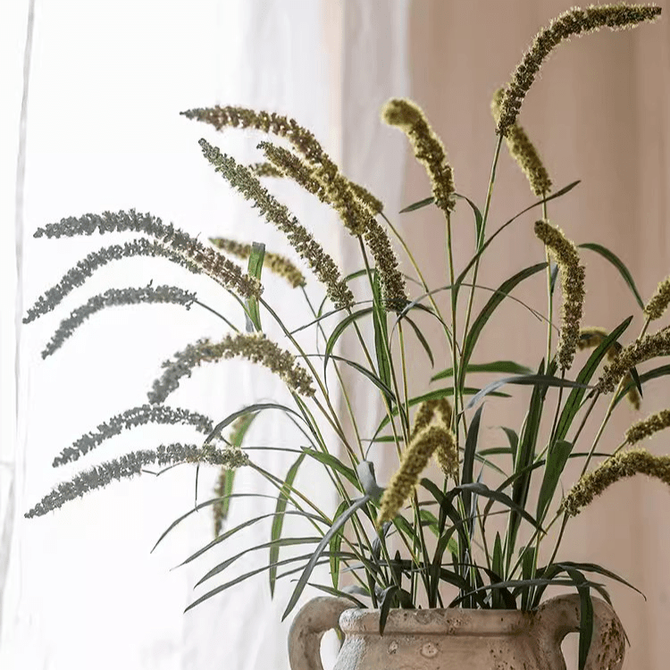 Three-Headed Dogtail Grass Stem 39