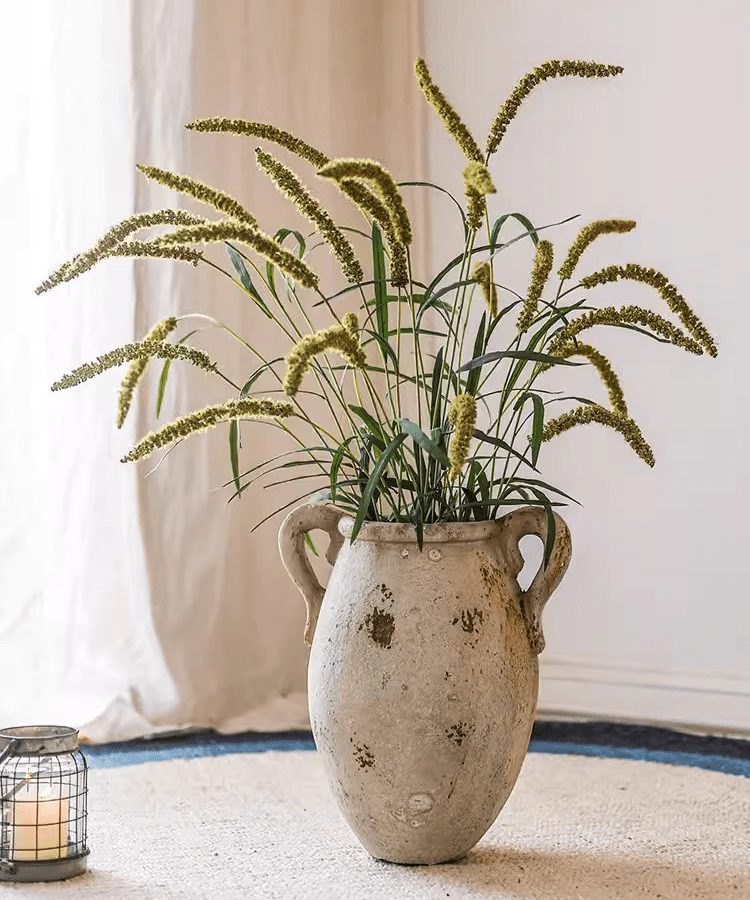 Three-Headed Dogtail Grass Stem 39