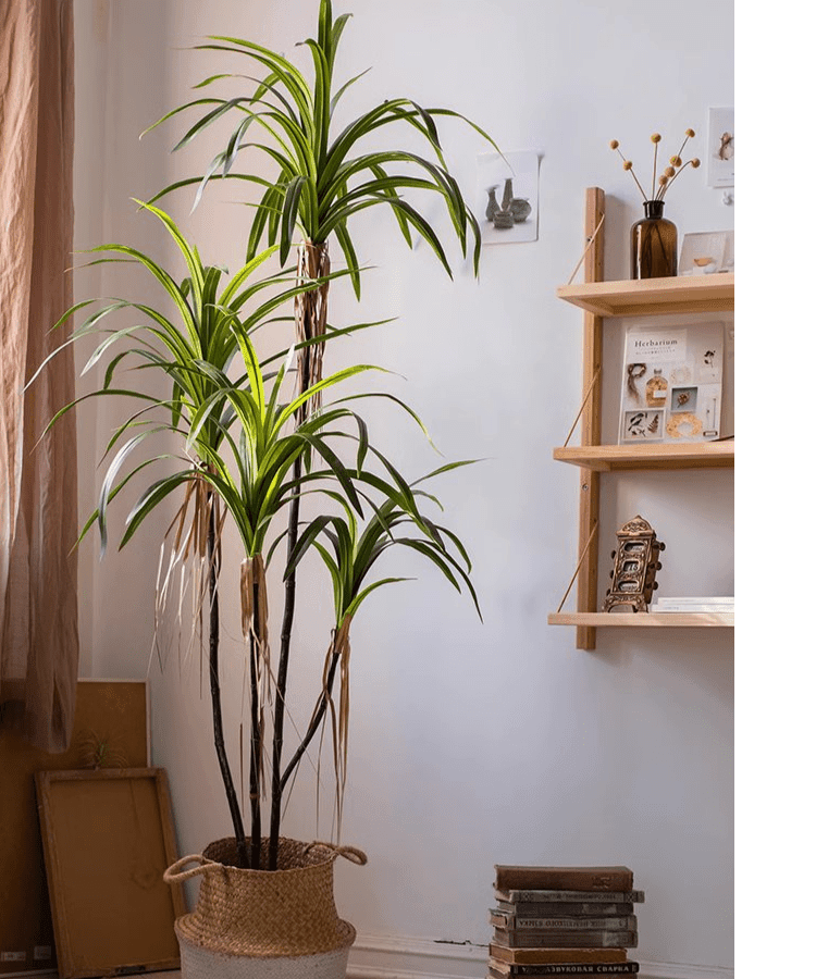 Artificial Dracaena Tree
