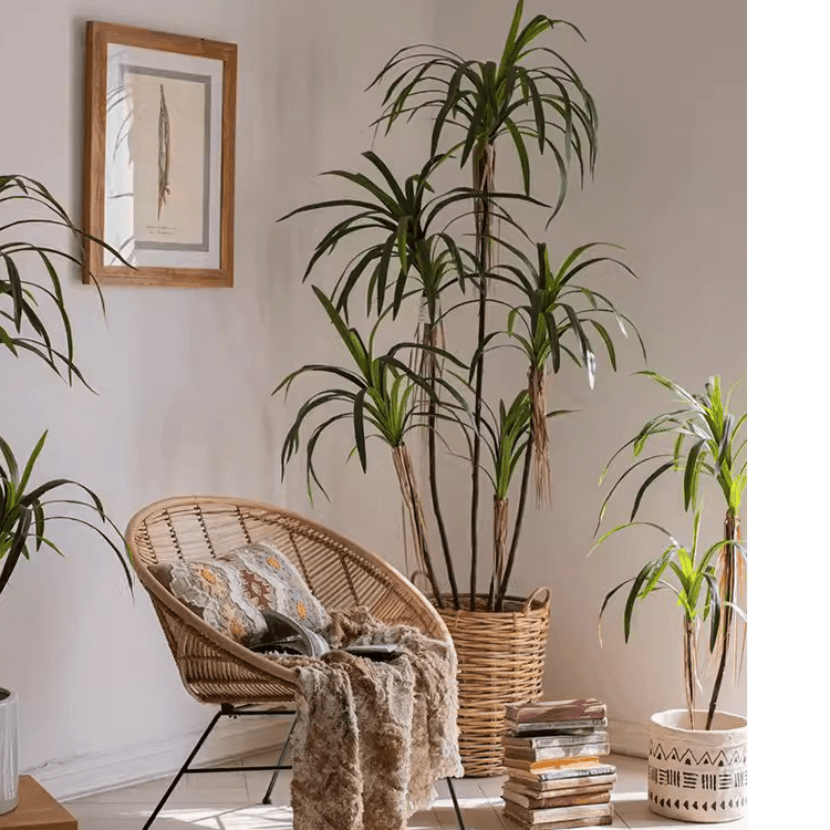 Artificial Dracaena Tree