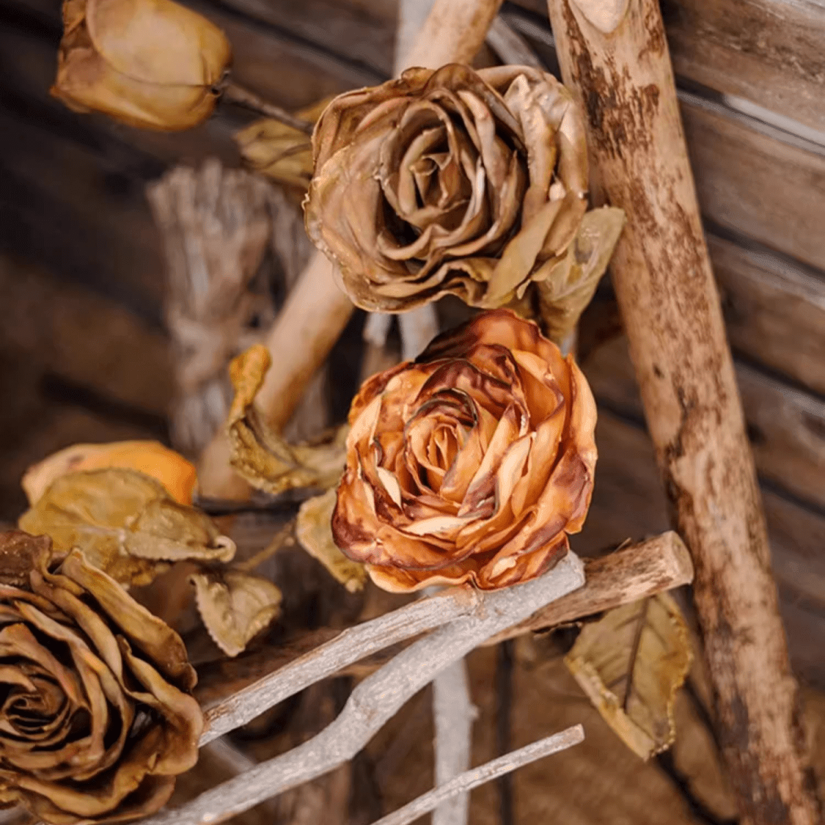 French Dried Look Faux Rose Stem 26