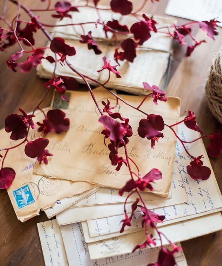 Impressionist Oncidium Orchid Stem in Red 31