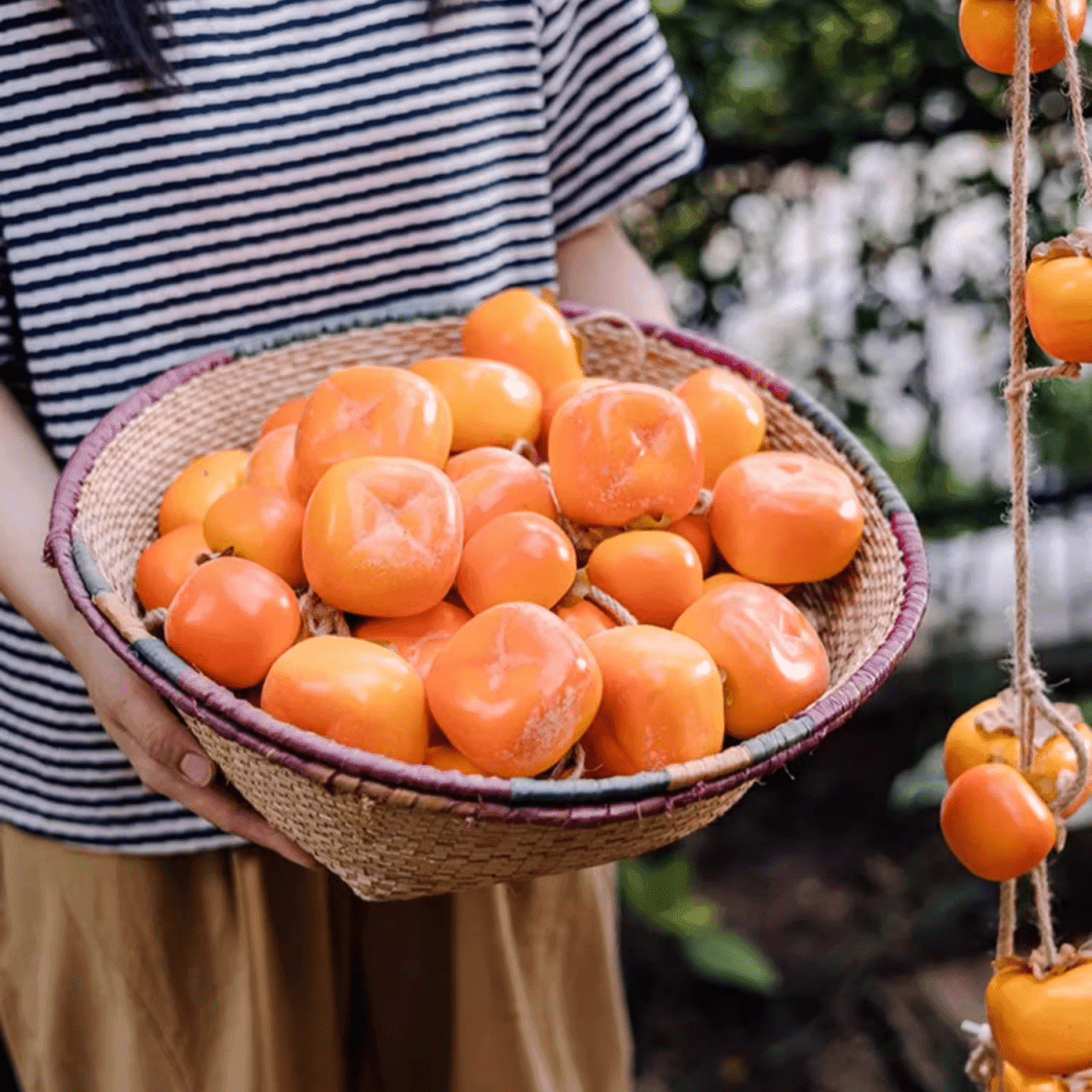 Artificial Persimmon Fruit String Decor 33.8