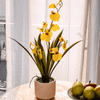 Potted Faux Dancing Lady Orchid - Small