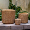 Rattan Texture Cement Planter