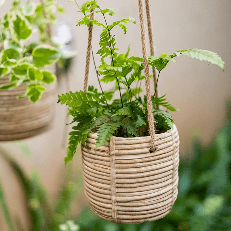 Faux Rattan Cement Hanging Planter