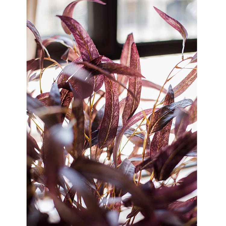 Whispers of Autumn Eucalyptus Stem 33