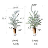Cedar Fir Tree Snow Flocked Christmas Tree in Paper Wrapped Base - Large