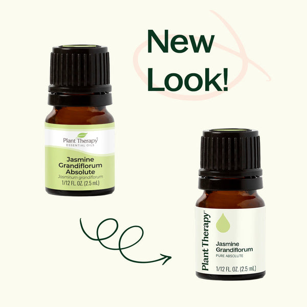 Jasmine Grandiflorum Absolute
