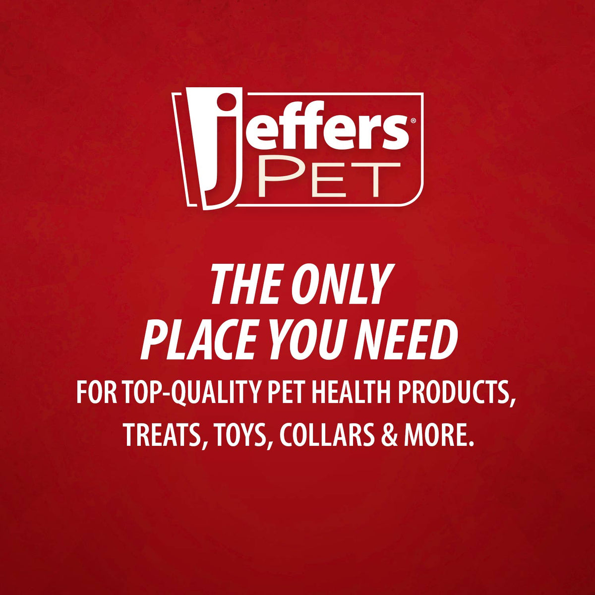 Jeffers T-Rex Natural Rubber Treat Dispensing Dental Dog Chew Toy for Medium Chewers with Vanilla Scent